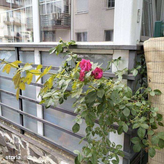 Apartament 2 camere la parter cu curte proprie în proprietate