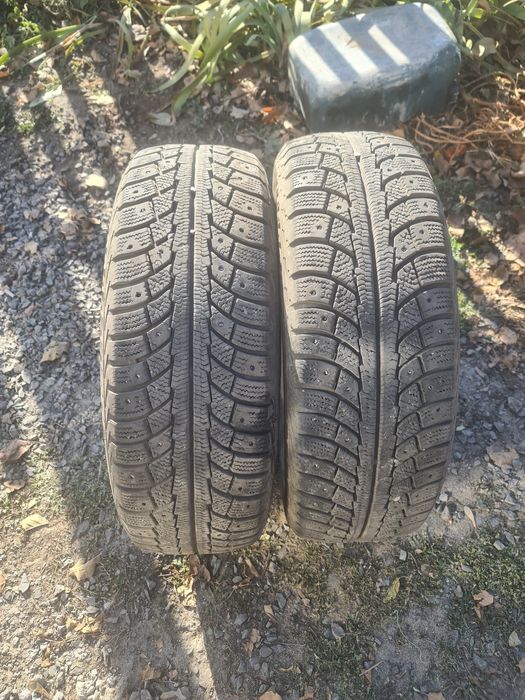 Шины пара на сезон хватит