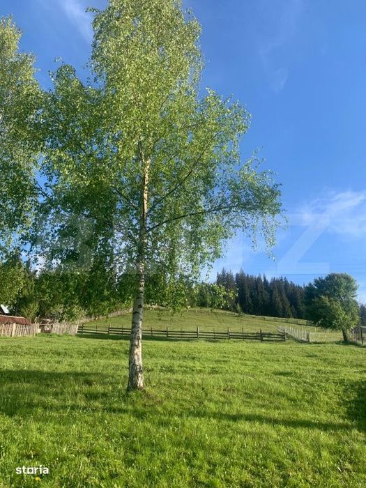 Teren intravilan in Vatra Dornei, 2000 mp