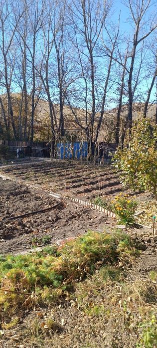 Продам дачу плодородия