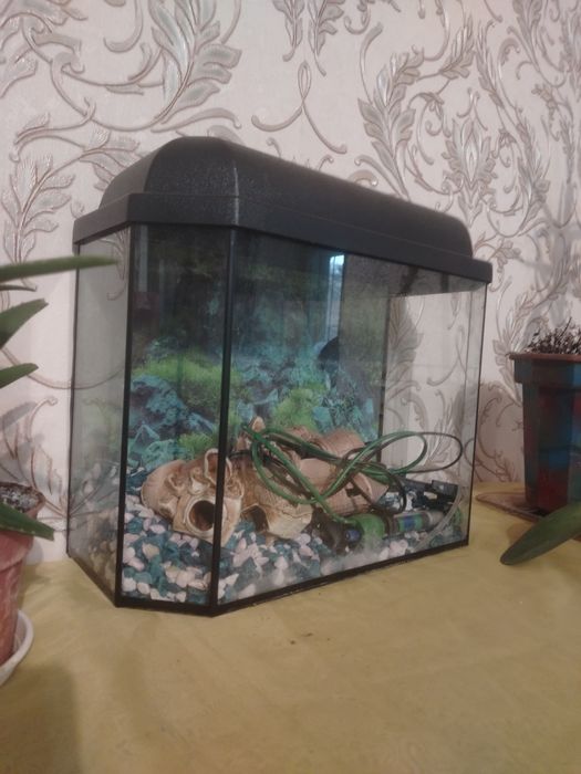 Продам аквариум 20000