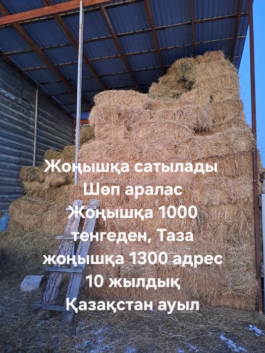 Жоңышқа сатылады