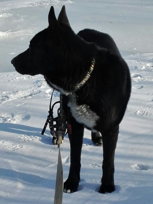 Ждем подружку