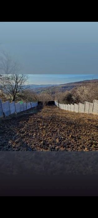 Vand Casa în Colibași