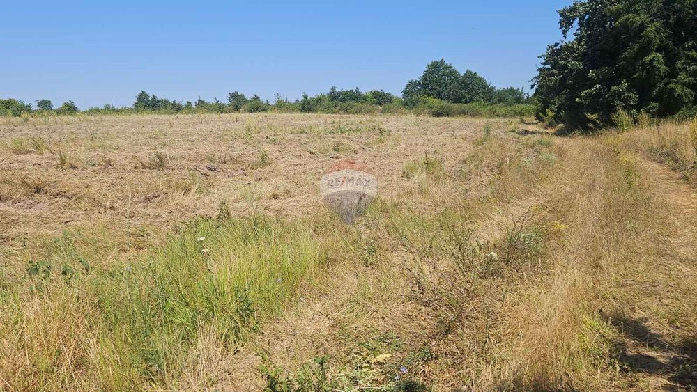 Продава се Парцел в с. Близнаци, Област Варна - 6900 кв.м за 44 €/кв.м - Снимка #1