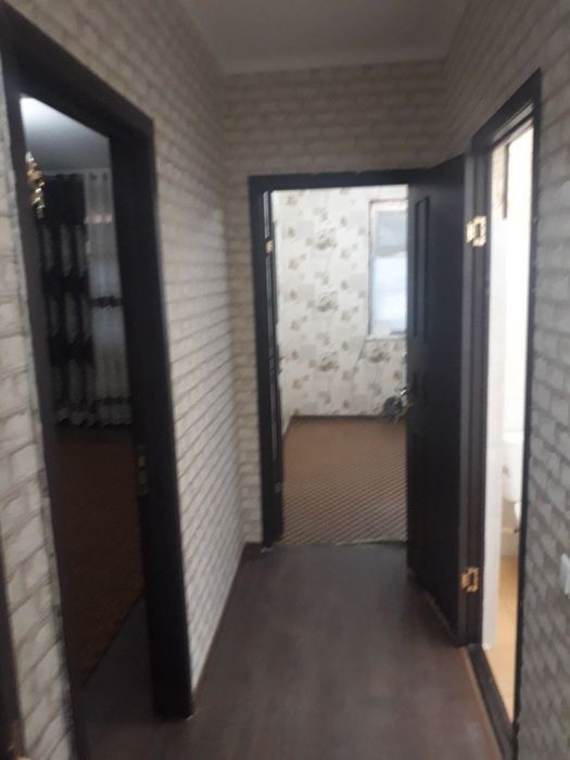 Kvartira solitadi ! Sholkamotal