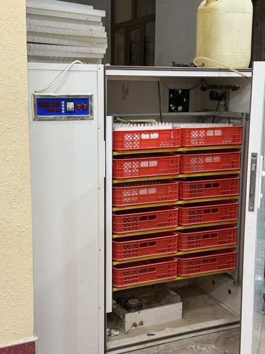 Inkubator sotiladi yangi holatda