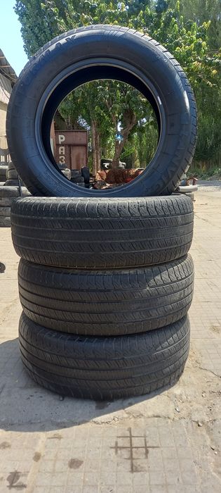 Kaptiva balon yumshoq