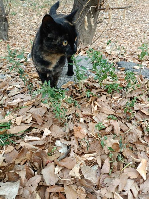 В самые ответственные руки