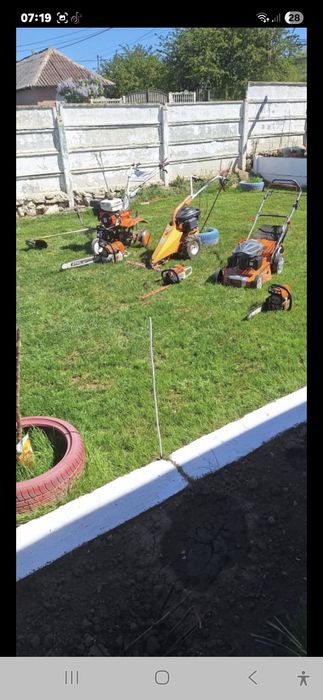 Toaletez pomi fructiferi