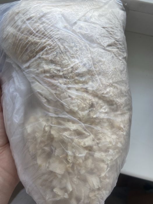 Продам Хомяка с клеткой, с кормом и наполнителем