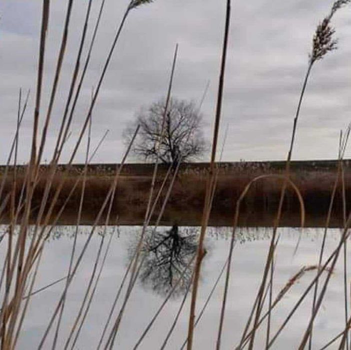 Vand casa la tara cu vedere la balta