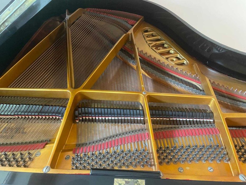 Pian Pleyel cu coada scurta