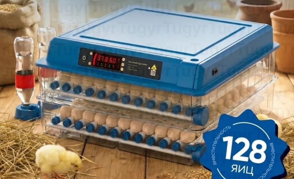 Продам мини инкубатор