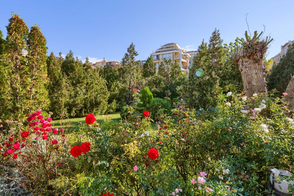 Дава се под наем Едностаен апартамент в Свети Влас - 19 кв.м за 229.5 € - Снимка #11