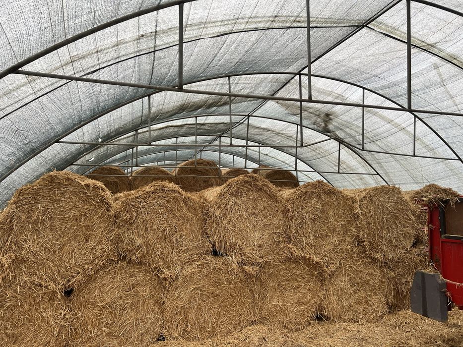 Бали слама сезон 2025г