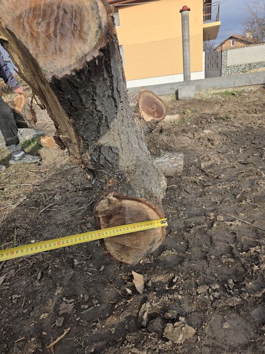 Дървен матерял,орех