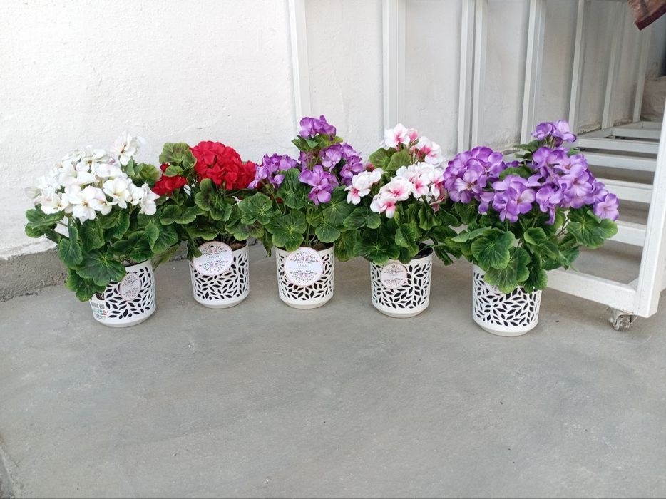 Нархлари 160 мингдан бошлаб. Декоратив суний гуллар. Ассортимент мавжу