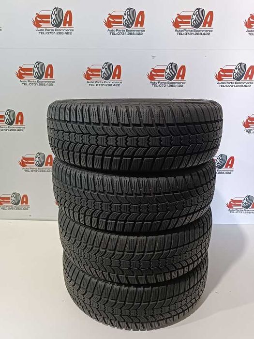 205/60/16 96H SAVA CP N10669 M+S