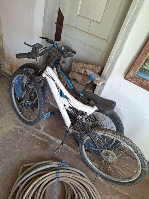 2 Biciclete 230 lei