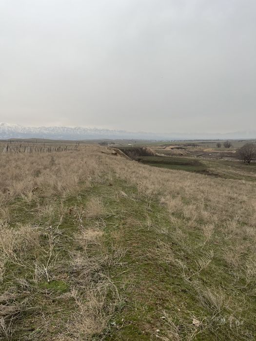 Жер сатылады | Продается земля 6.5 гектар