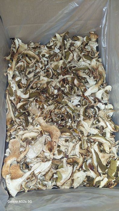 Hribi uscati cu grija