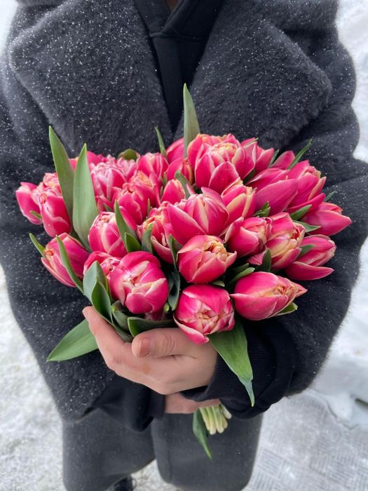 Тюльпаны оптом и розницу + упаковка в подарок