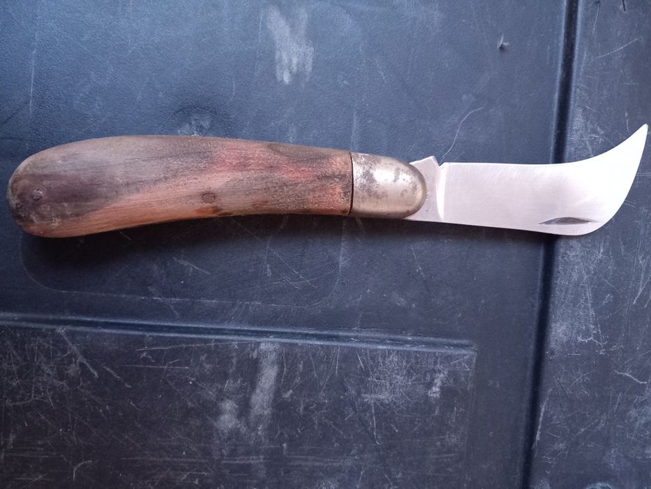 Cosor în stare buna