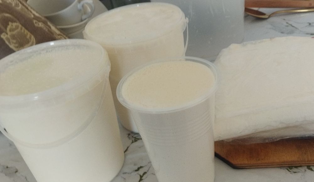 Сепаратор қаймағы, творог тұщы