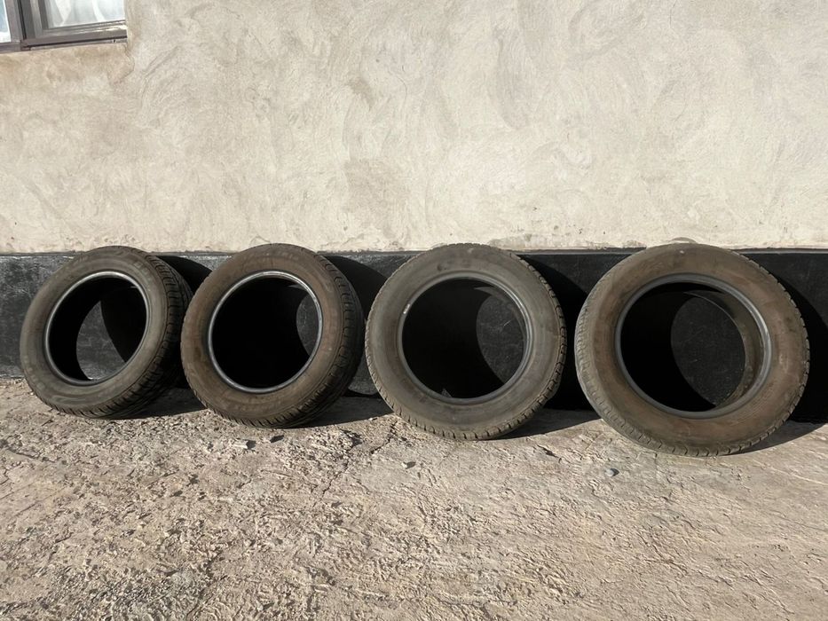 Баллон. Шина. Балон