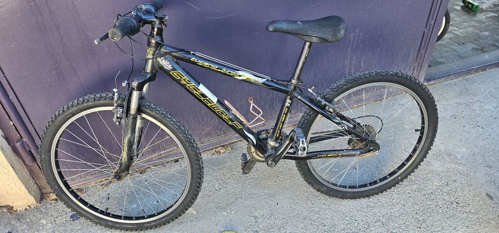 Bicicleta copii roti 24