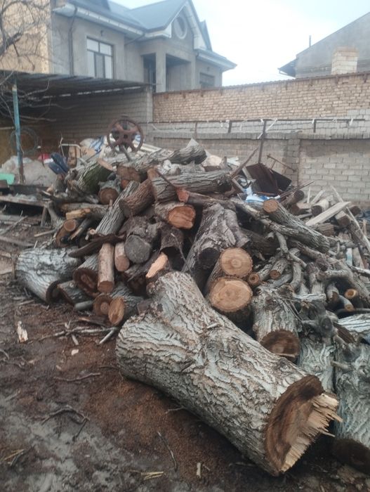 Утин сотилади Дрова продаётся