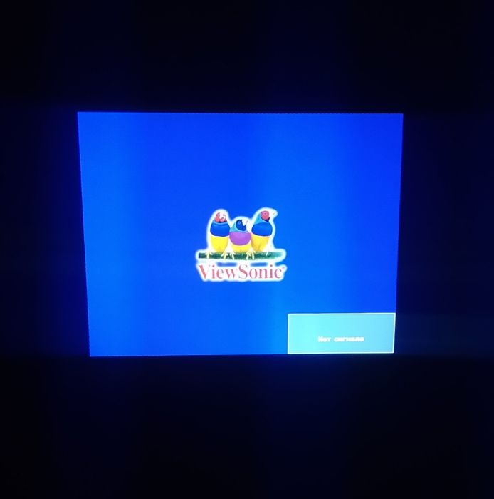 Проекторы для трансляции