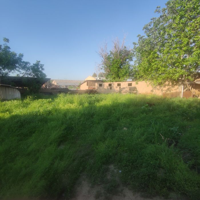 Keles Sanatoriya yoʻli yuzi 13- sutuki sotiladi