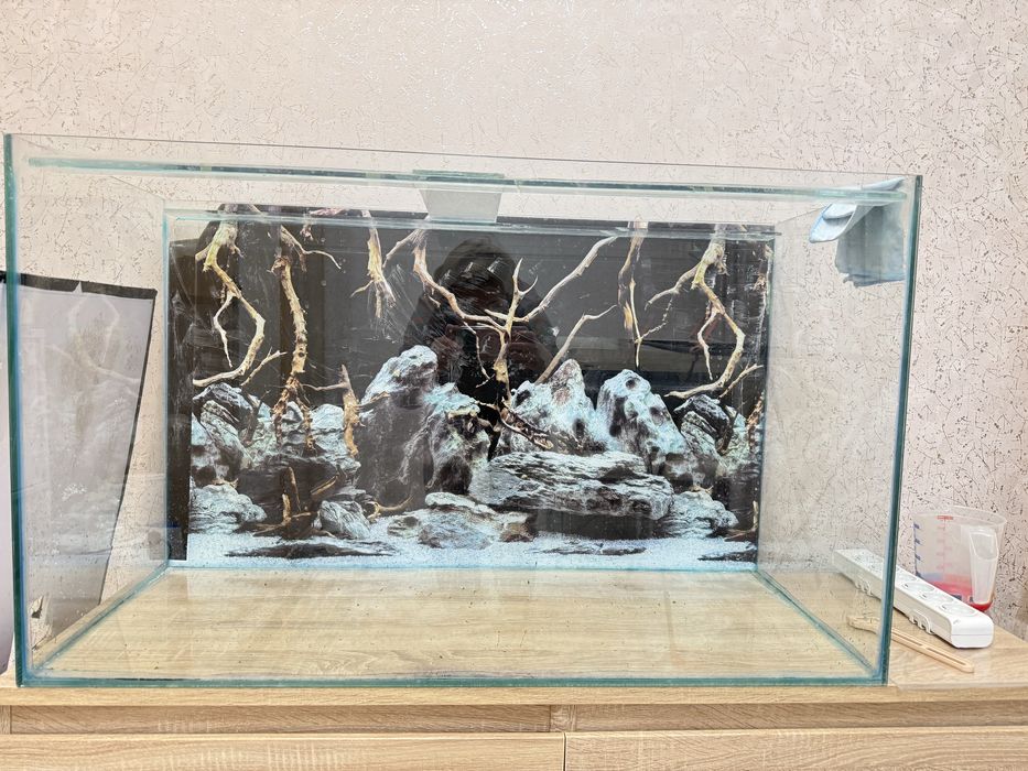 Малавийские цихлиды