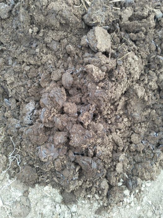 Навоз сатылады 3 камаз