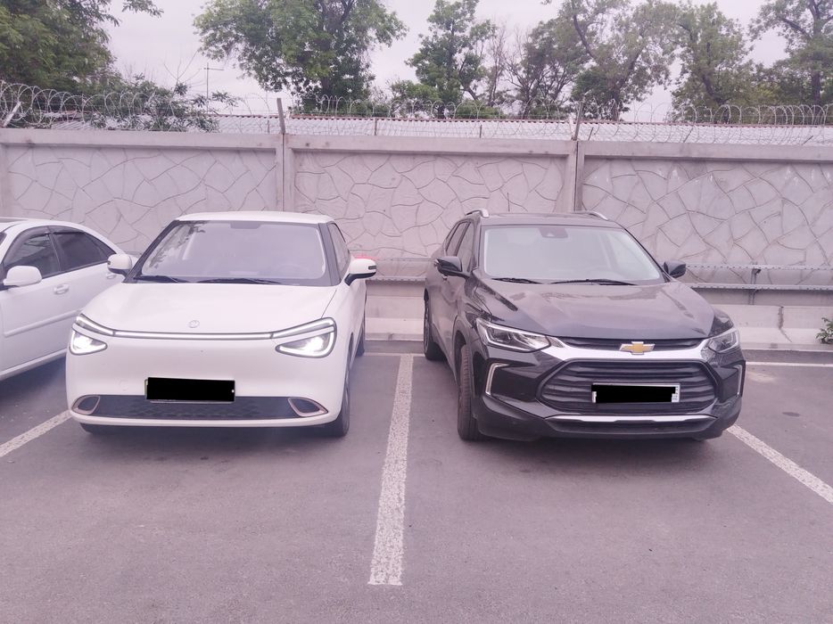 Dongfeng nammi 01