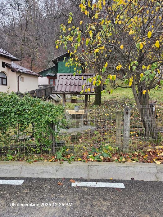 Casa modernizata in Campulung Muscel,padure proprie, toate utilitatile