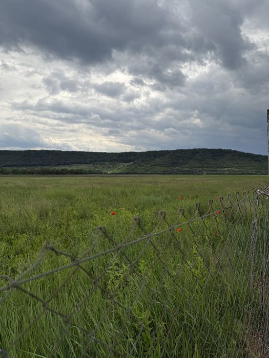 900mp intravilan Aiud