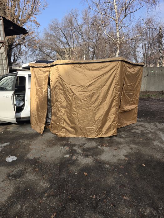 Маркиза веерная.