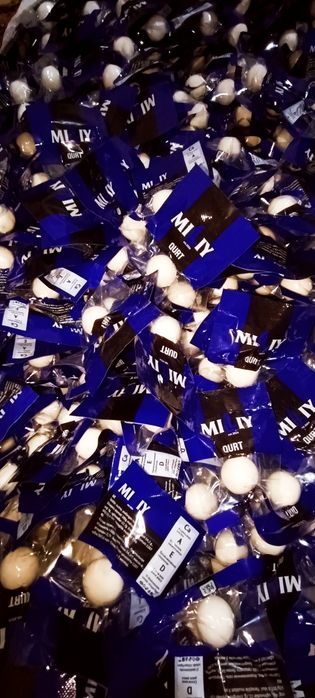 Qurt maxsulotlari optom ulgurchi narxda