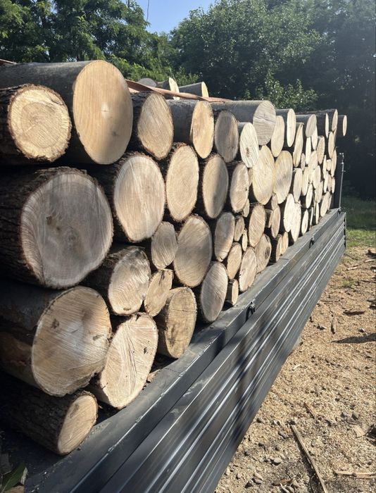 ‼️Vindem lemne de foc la 1800 de lei mașina lemne de esențe tarii‼️