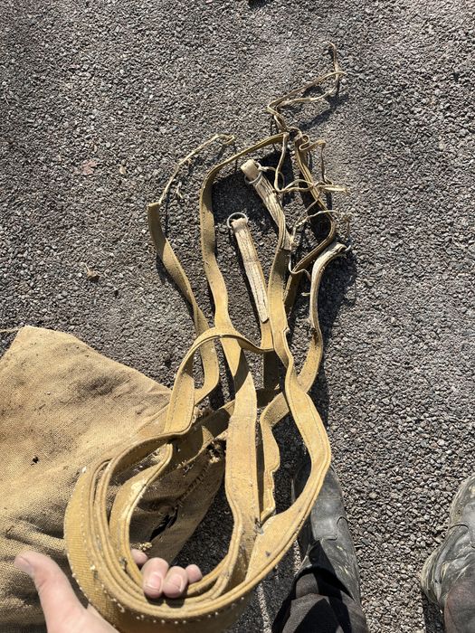 Продам ат саймандарын..