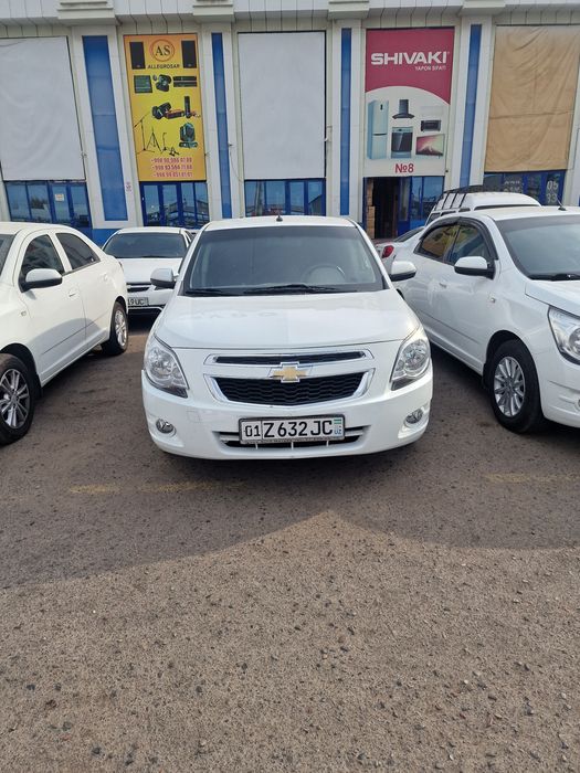 Sotladi 2023 kraskasi toza