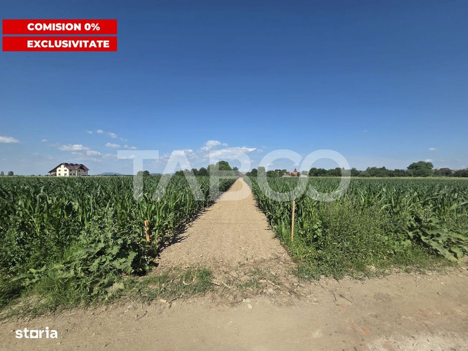 Teren intravilan 2000 mp si extravilan 1150 mp de vanzare in Vad