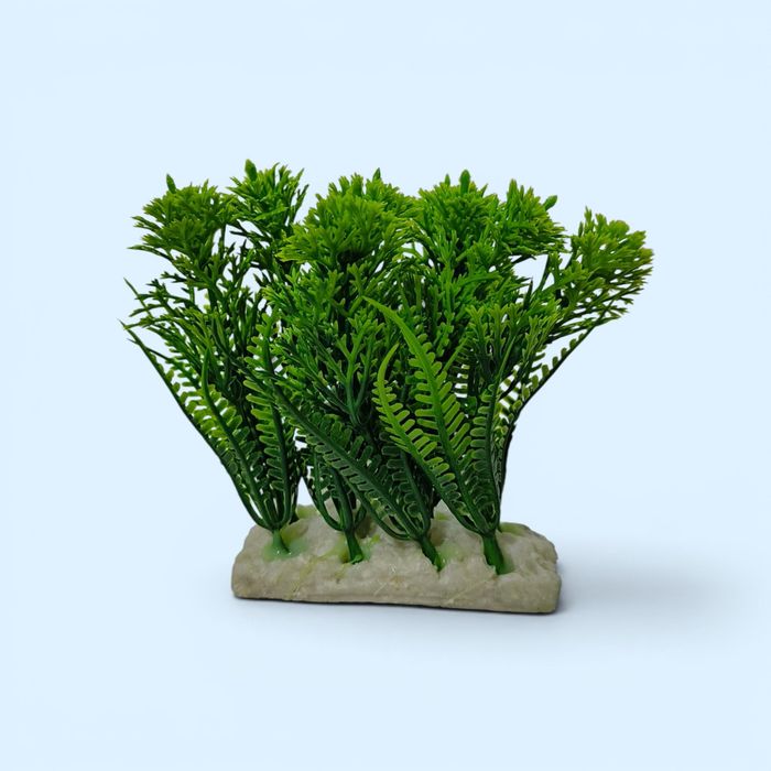 Faqat Akvarium uchun