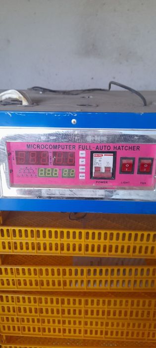 Inkubator sotiladi holati yangi