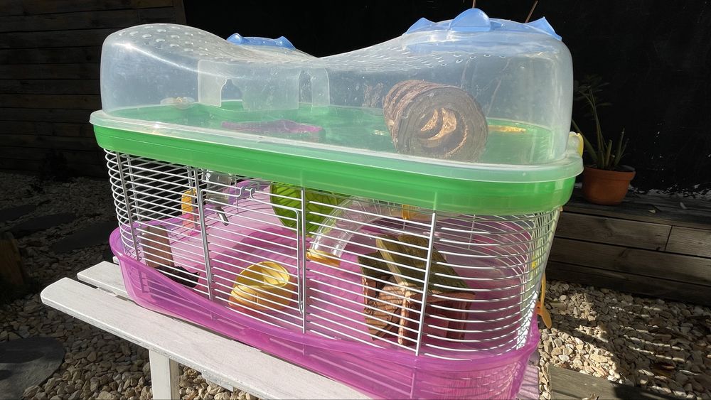 Cuşcǎ hamster cu 2 etaje