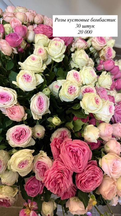 Розы Кения букеты