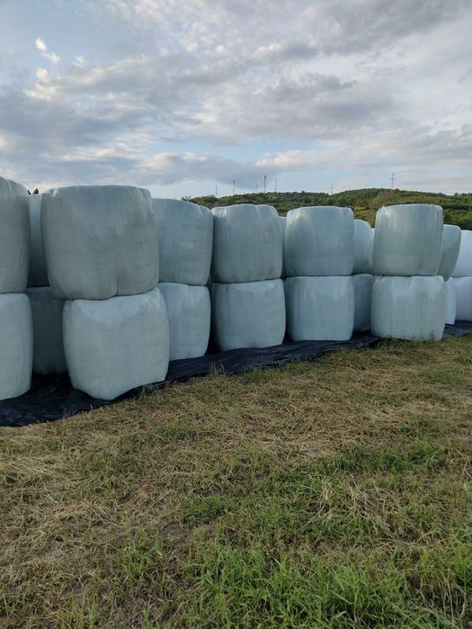 Baloți de lucernă ecologică infoliati recolta 2025